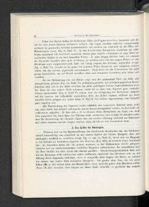 2. Das Epithel der Mundregion.