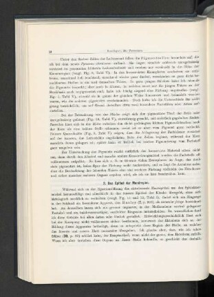 2. Das Epithel der Mundregion.