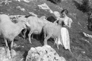 Bayrischzell: zwei Mädchen an einer Schafherde