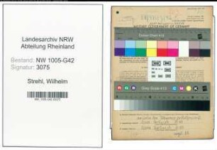 Entnazifizierung Wilhelm Strehl , geb. 16.07.1905 (Maler)