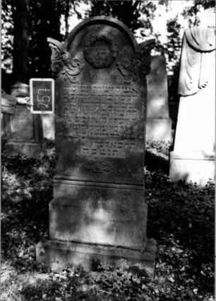 Grabstein 257 (Index: 100112098) Material: Sandstein Zustand: gebrochen und repariert mit Textverlust, sonst gut Maße HxBxT: 186x74x12 cm Beschreibung: Stele, getreppter Sockel, eingezogener Segmentbogenabschluß mit Eckakroteren Symbolik: Kranz, Ranken: Grabstein 257