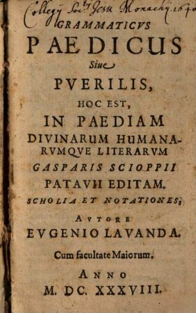 Grammaticus paedicus