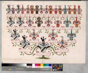 Proband: Morrien, Albrecht Dietrich Philipp von; Vater: Morrien, Walter Dietrich Johann von; Mutter: Wylich, Anna Gertrud von: Münster, Fbstm, Ritterschaft