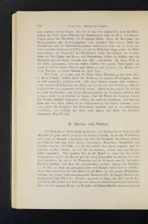 II. Rücken und Nacken.