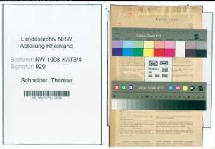 Entnazifizierung Therese Schneider , geb. 25.08.1906 ()
