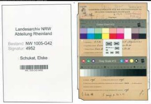 Entnazifizierung Elske Schukat , geb. 08.07.1895 ()