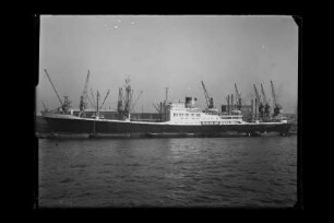 Bayernstein (1955), Passagier- und Frachtschiff, HAPAG, Hamburg, Bau-Nr. 839