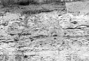 Neudenau Stützmauer Bahnbediensteter