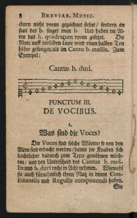Punctum III. De Vocibus.