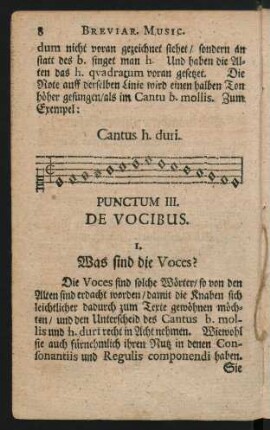 Punctum III. De Vocibus.
