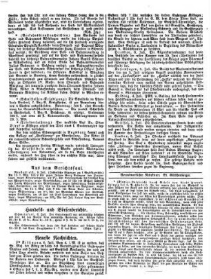 Würzburger Journal. 1864,7/12 = Jg. 10