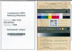 Entnazifizierung Johann Schneewolf , geb. 02.03.1893 (Schlosser)