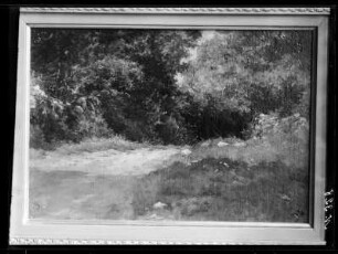 Waldweg bei Meran