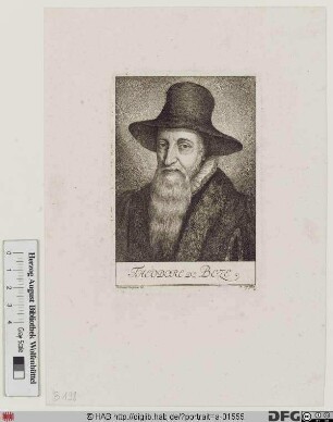 Bildnis Theodor Beza (eig. Théodore de Bèze)