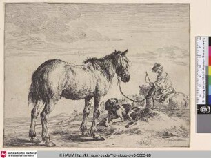 [Ein angebundenes Pferd; Horse Bound to a Post; Un cheval vu de profil]