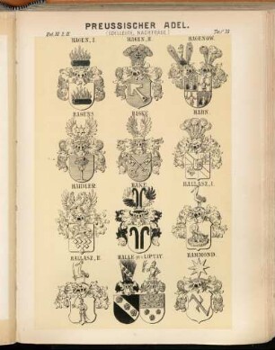 Taf. 78. Hagen I. - Hagen II. - Hagenow. - Hagens. - Hagke. - Hahn. - Haidler. - Hake. - Hallasz. I. - Hallasz. II. - Halle gen. v. Liptay. - Hammond.