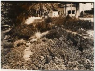 Garten von Bauer, Rhode: Pflanzungen