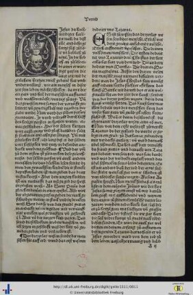 Das buch Granatapfel.