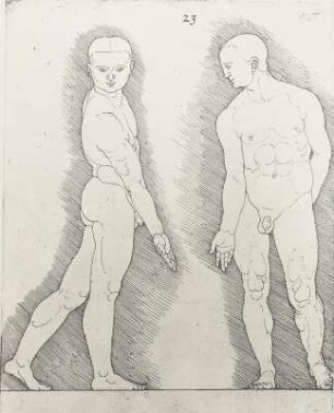 Mann seitlich und von vorn vor schraffiertem Grund : Dresdner Skizzenbuch (1507/1528). Mann seitlich und von vorn vor schraffiertem Grund (aus: R. Bruck: Das Skizzenbuch von Albrecht Dürer, Straßburg 1905, Tafel 35, Blatt 115r, Str. 78, Kriegsverlust). Dresden: SLUB Mscr.Dresd.R.147.f