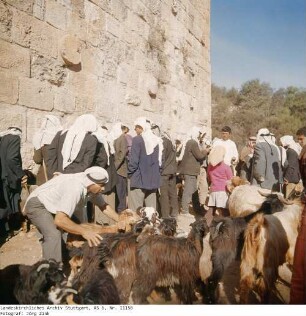 Israel: Am Löwentor