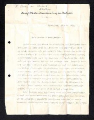 Schreiben E. Fraas an Köstlin betreffs Ichthyosaurusschnauze inkl. Zeichnung