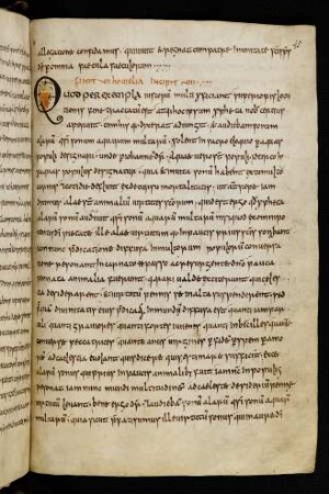 Initiale Q (zu Homilie 8)
