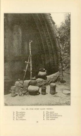 Fig. 18. The chief dairy vessels