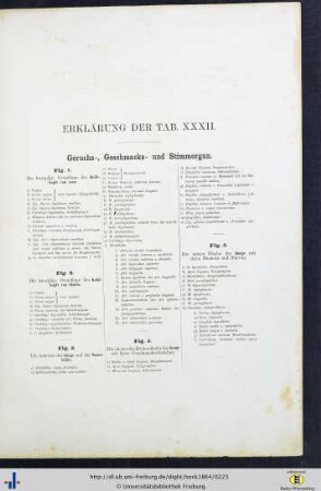 Erklärung der Tab. XXXII.