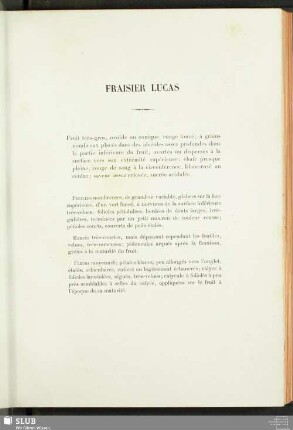 Fraisier Lucas