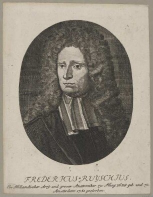 Bildnis des Fredericus Ruyschius