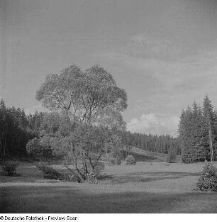 Landschaft