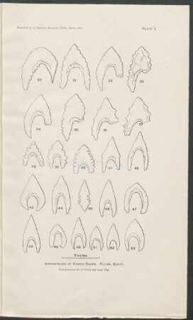 Plate 3. - Arrowheads of varied shape. Fayum, Egypt.