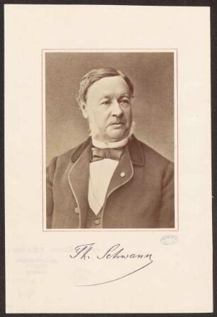 Schwann, Theodor