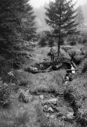 Reichenau-Hartmannsdorf-Reichenau. Herr Weichelt bei seinen Grabungen an der Brettmühlenwüstung im Gimmlitztal