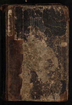 3. Bd.: Auf der Höhe : Roman in acht Büchern