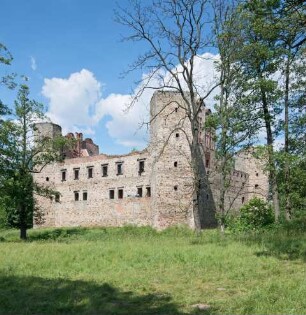 Burg, Drzewica, Polen