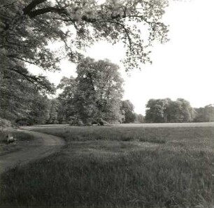 Cottbus. Branitzer Park. 1846/71; Fürst Hermann von Pückler-Muskau. Parkpartie mit Weganlage und Wiesenfläche