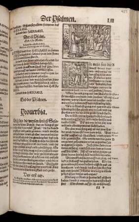 Proverbia die weysen Sprüch Salomons