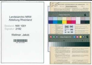 Entnazifizierung Jakob Wellmer, geb. 22.08.1918 (Angestellter)