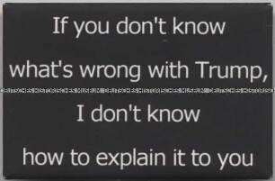 Button „If you don’t know what’s wrong with Trump, I don’t know how to explain it to you“