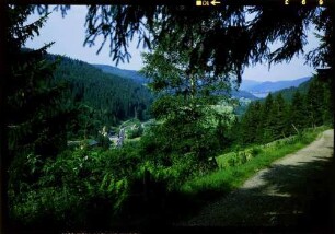 Feldberg, Bärental: vom Höhenweg ins Bärental, Hintergrund Titisee