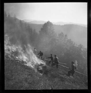 Beim Reutebrennen im Kirnbachtal
