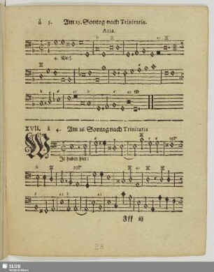 XVII. Am 16. Sontage nach Trinitatis: Wir haben hier keine bleibende Statt