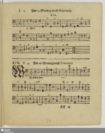 XVII. Am 16. Sontage nach Trinitatis: Wir haben hier keine bleibende Statt