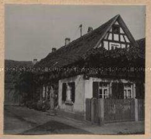 Geinsheim, Tabak am Fachwerkhaus