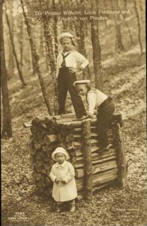 Die Prinzen Wilhelm, Louis Ferdinand und Friedrich von Preußen