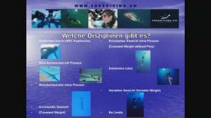 Apnoe / Freediving / Freitauchen