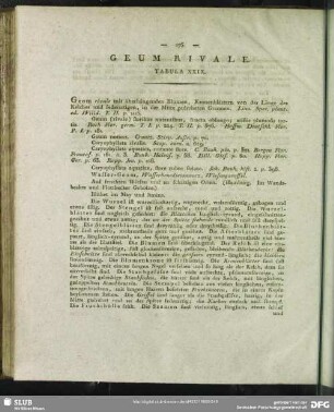 Geum Rivale. Tabula XXIX.