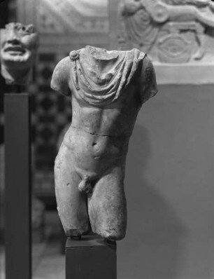 Nackter männlicher Torso (Meleager?)