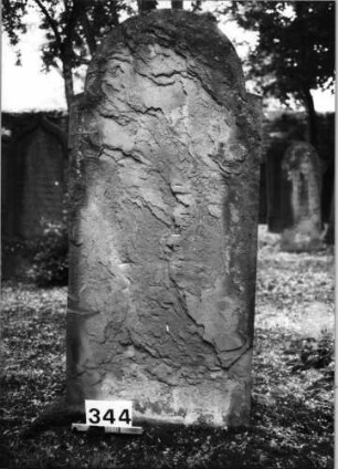 Grabstein 344 (Index: 99629823) Material: Sandstein Zustand: völlig abgeblättert Maße HxBxT: 143x62x8 cm Beschreibung: Stele mit eingezogenem Rundbogenabschluß: Grabstein 344